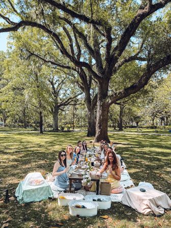 Savannah Luxury Picnic: Charcuterie, Wine, Decor & Games image 2