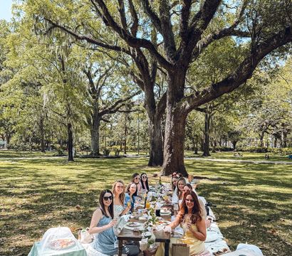 Lux Picnic Savannah