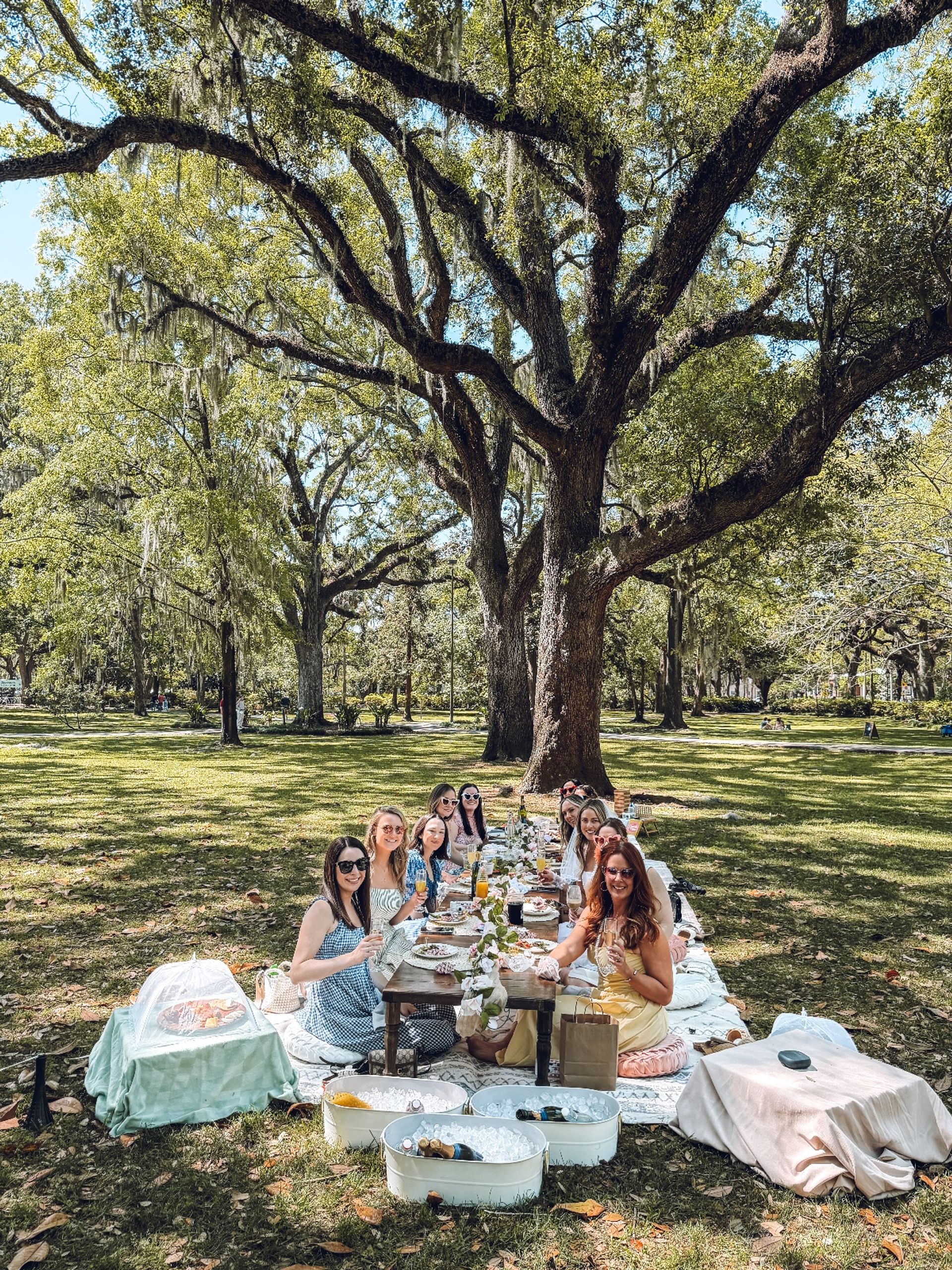 Savannah Luxury Picnic: Charcuterie, Wine, Decor & Games image 2
