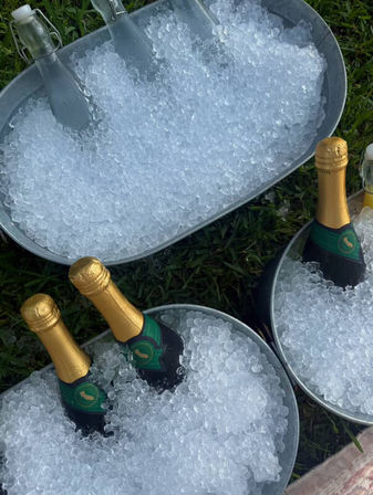 Backyard party scene with metal tubs on grass filled with pebble ice, chilling multiple champagne bottles and swing-top glass bottles.