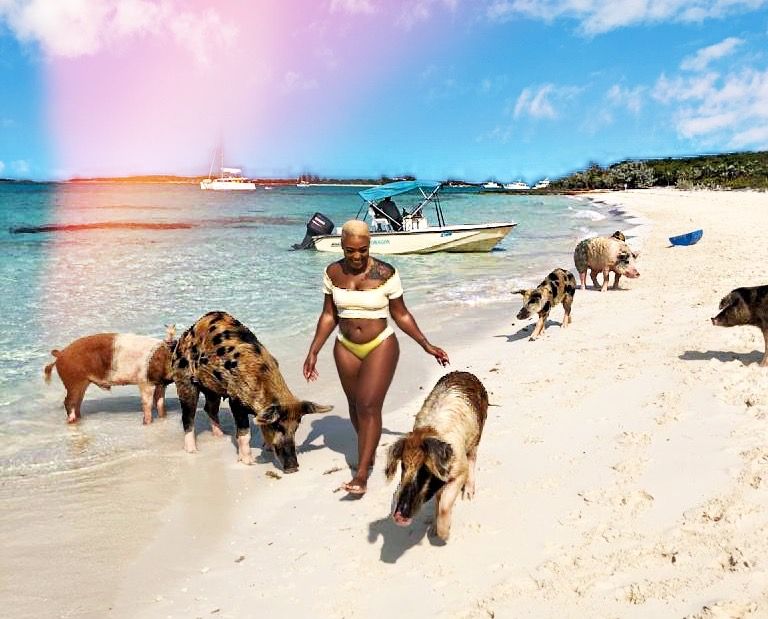 Woman strolling on a tropical Caribbean white-sand beach with turquoise water, playful pigs at the shoreline and a small boat anchored nearby.