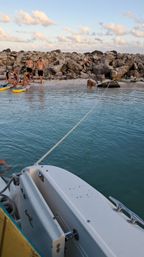 Boat bow in foreground with a line to a rocky shore where a group on paddleboards and a dog play in turquoise water under a pastel sunset sky.