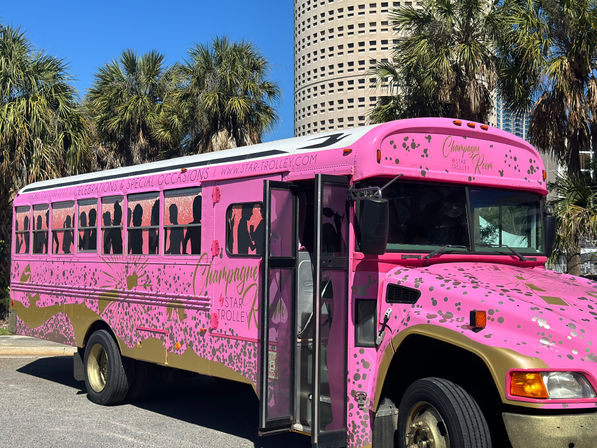 The Pink Party Bus: Voted #1 Bachelorette Experience with Private Bar & Optional VIP Bartender On Board (BYOB) image 23