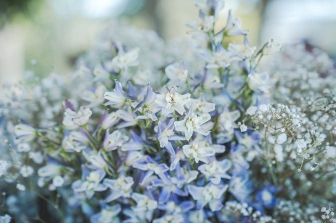 Bachelorette/Bridal Party Mini Retreat for the Mindful Bride (up to 6 people): Curated Activities (connection time, meditation/guided visualization, journaling), Lunch + Choose Your Experience (yoga, flower crowns, bath salt creation, candle making) image 12