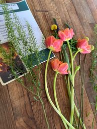 Coral-pink tulips, yellow billy balls and green foliage laid on a rustic wood tabletop next to a floral workshop flyer