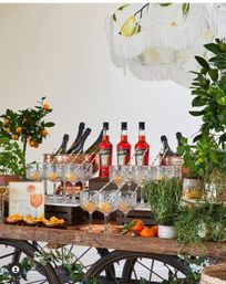 Rustic wooden cocktail cart styled as an Aperol Spritz station with Aperol bottles, chilled sparkling wine in copper buckets, crystal glasses garnished with orange slices, fresh citrus trees and potted herbs beneath a fringed lemon-print lampshade.
