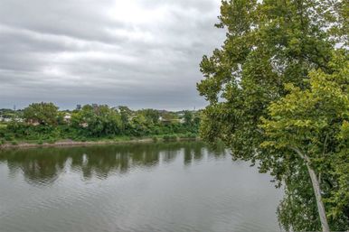 Overcast riverfront scene with calm water, leafy trees in the foreground and a tree-lined opposite bank with distant low-rise buildings
