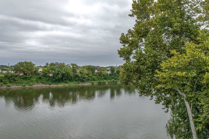 Overcast riverfront scene with calm water, leafy trees in the foreground and a tree-lined opposite bank with distant low-rise buildings