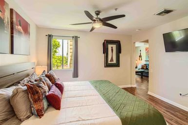 Cozy bright apartment bedroom with king bed, layered colorful pillows and green quilted runner, modern ceiling fan, hardwood floors, wall art and TV, plus a window view of trees and an open doorway to the living area.