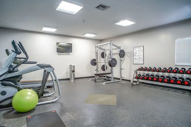 Bright residential fitness room with cardio machines, a green exercise ball, squat rack with weight plates, and a rack of dumbbells under ceiling lights