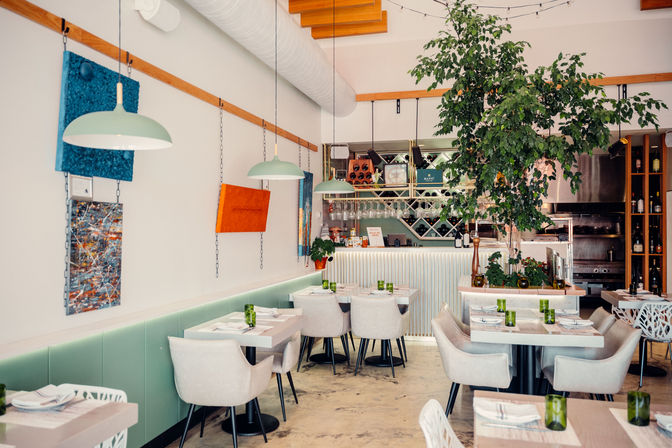 Light-filled modern urban cafe interior with mint-green banquette seating, pendant lamps, small set tables, an indoor ficus tree, and a wine rack behind the bar.