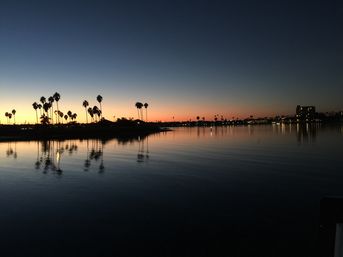 Sunset over a calm coastal bay with silhouetted palm trees and city lights reflecting on smooth water, a tranquil Southern California waterfront scene