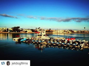 Sunlit coastal marina with a neat row of jet skis and small boats docked on calm blue water, waterfront homes and palm trees lining the distant shore under a clear sky.