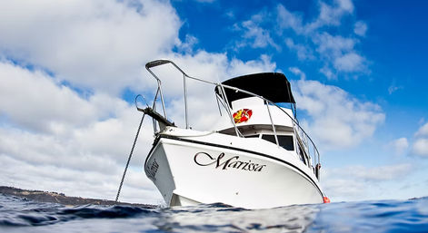 Low-angle view of a white recreational motorboat anchored in blue ocean waters, anchor chain visible, black canopy, partly cloudy sky and distant coastline.