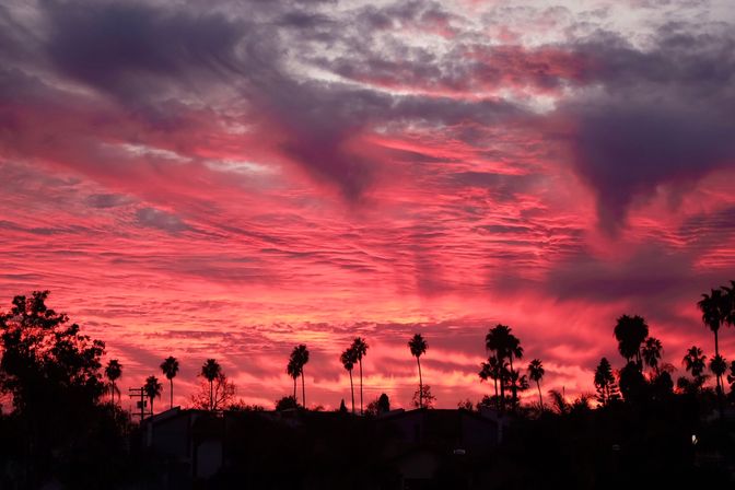 Vibrant magenta and purple sunset with dramatic cloud formations sweeping over silhouetted palm trees and a suburban skyline