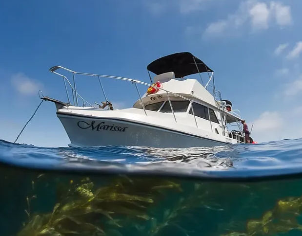 Over-under shot of a white cabin cruiser anchored in sunny coastal waters above swaying green kelp under a clear blue sky