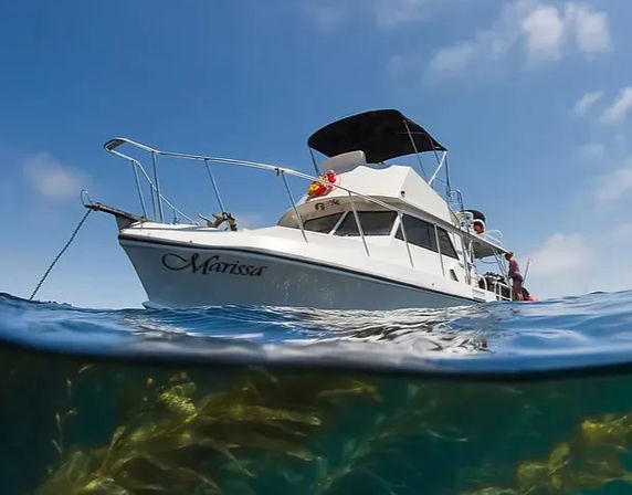 Over-under shot of a white cabin cruiser anchored in sunny coastal waters above swaying green kelp under a clear blue sky