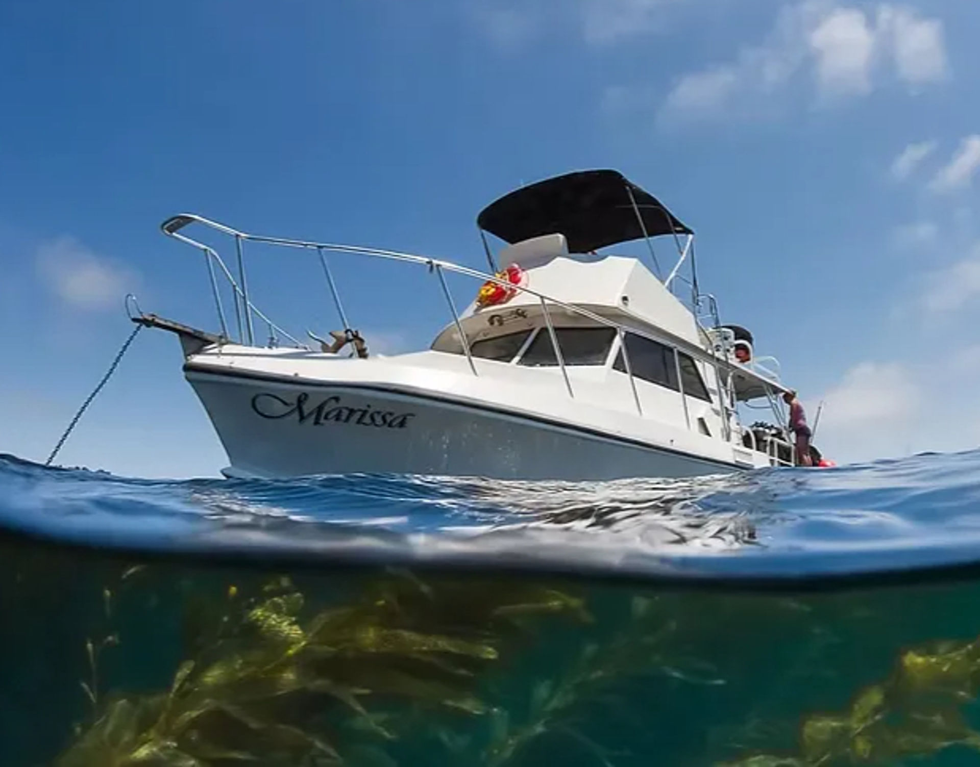 Over-under shot of a white cabin cruiser anchored in sunny coastal waters above swaying green kelp under a clear blue sky
