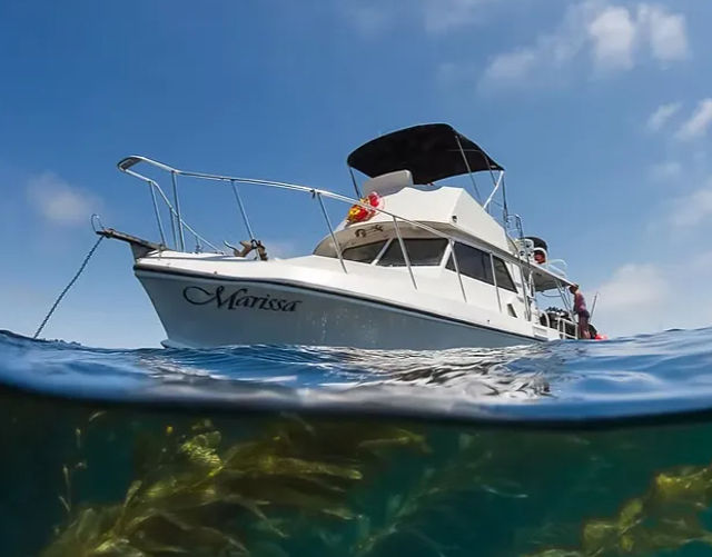 Over-under shot of a white cabin cruiser anchored in sunny coastal waters above swaying green kelp under a clear blue sky