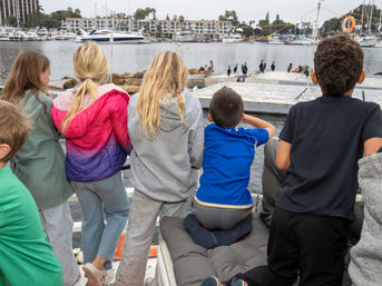 Sunset Sails & Chill Vibes: BYOB Party Boat with Captain & Crew image 19