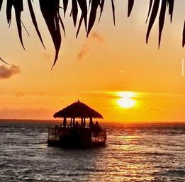 Golden tropical sunset over the ocean with a silhouetted thatched-roof tiki raft drifting beneath palm fronds
