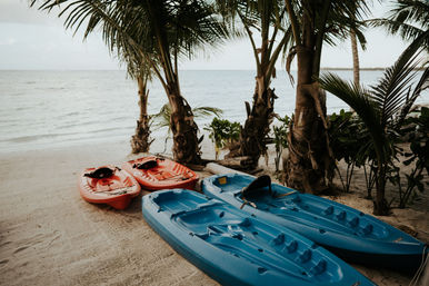 Four colorful kayaks (two blue, two orange) resting on a sandy, palm-lined tropical beach with calm ocean waves in the background.