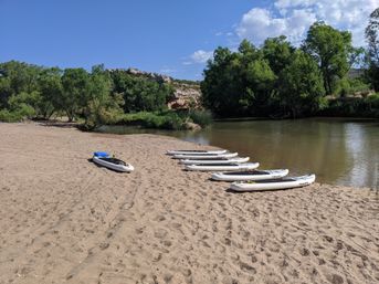 Seven white stand-up paddleboards lined up on a sandy river beach beside calm brown water, surrounded by green trees under a bright blue summer sky — river paddleboarding scene