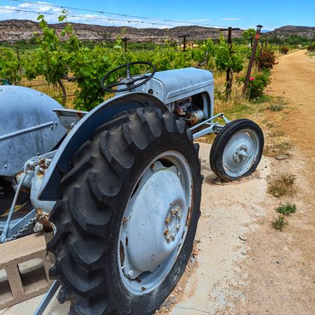 Vintage gray tractor parked beside green grapevines and a dusty farm path, with rocky hills and blue sky in a rural vineyard landscape