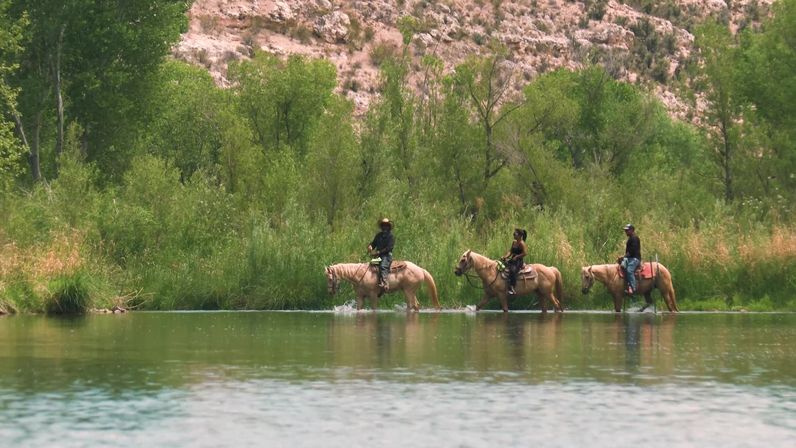 Three riders guiding palomino horses across a shallow river along a leafy riverside with green trees and a sandstone bluff