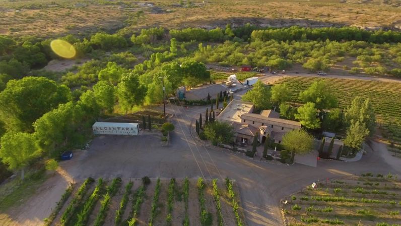 Drone-shot of a sunlit vineyard estate with neat rows of grapevines, a Mediterranean-style villa, shaded tree groves and arid hills in the background.