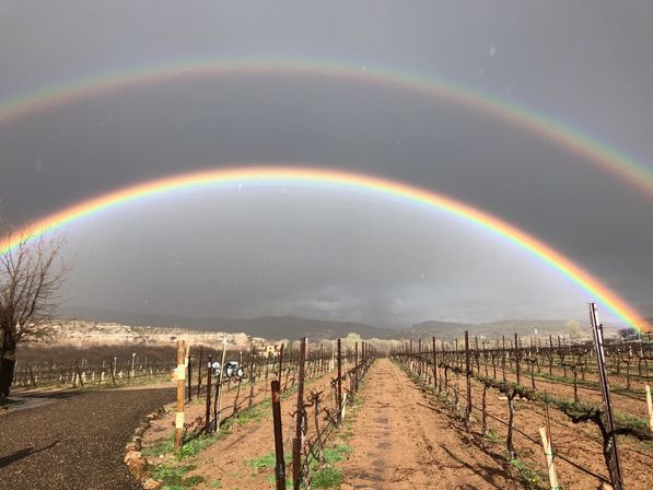 Dramatic double rainbow arcing over a rural vineyard, with rows of pruned grapevines and a muddy path leading toward distant hills under a dark, stormy sky.