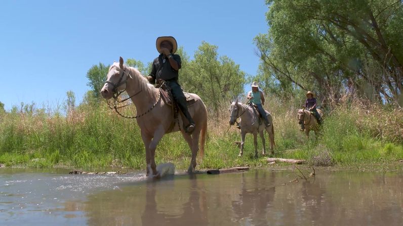 Three horseback riders wearing wide-brimmed hats crossing a shallow river on a sunny countryside trail, horses reflected in the water with green riverbank and trees in the background.