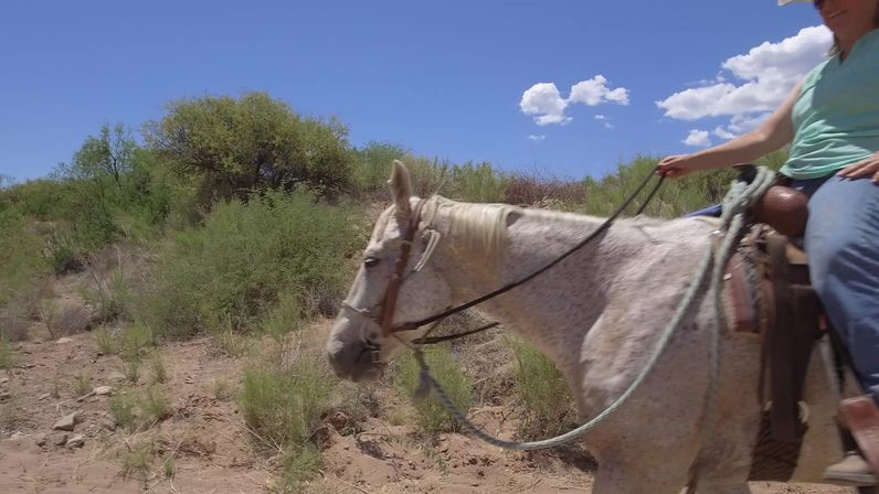 Rider in a turquoise shirt holds reins on a dappled gray horse with western tack, moving along a sunny desert scrub trail under a bright blue sky with puffy clouds.