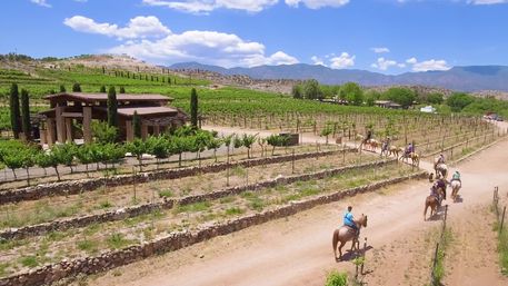 Horseback riders on a dusty road beside terraced vineyard rows and a rustic pavilion, set beneath a bright blue sky and distant mountains.