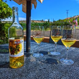 Three glasses of golden white wine and an open bottle on a textured patio table at a sunny outdoor vineyard tasting, with rows of vines, rolling hills and a bright blue sky in the background.