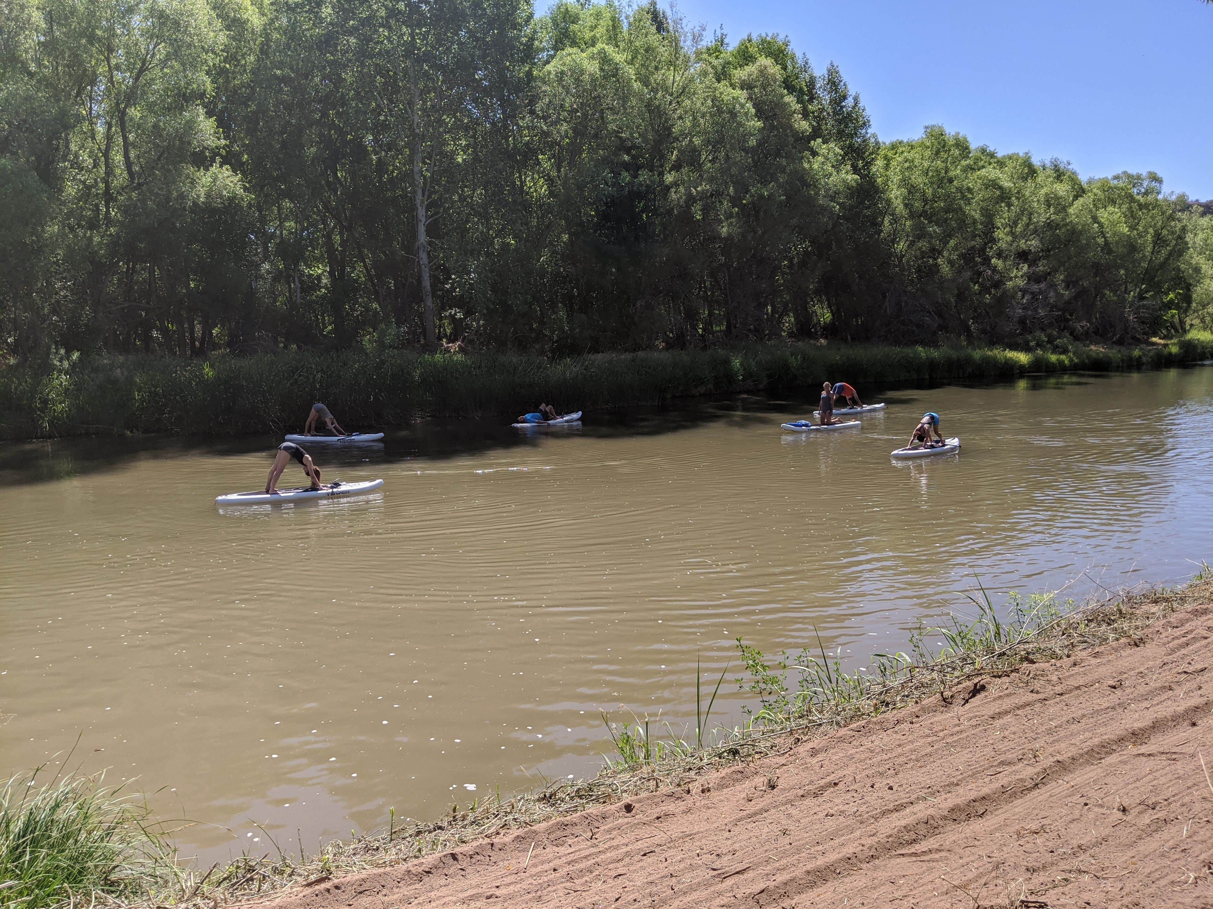 Group paddleboarders doing yoga stretches on a calm brown river, framed by leafy green trees and a sandy grassy riverbank on a sunny summer day.