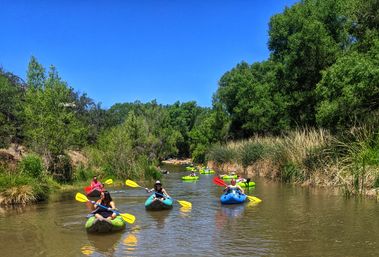 Group tubing on colorful inflatable kayaks down a narrow, sunlit river lined with reeds and lush green trees under a bright blue summer sky.