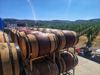 Stacks of oak wine barrels outdoors at a sunlit vineyard with rows of grapevines, rolling hills in the distance, and a lightning bolt streaking across the clear blue sky.