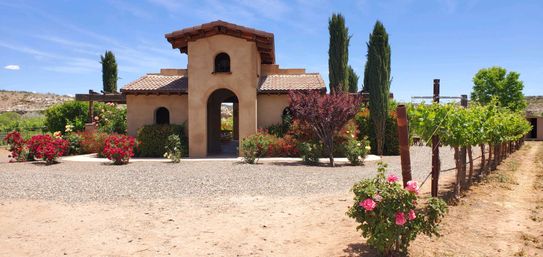 Sunny desert vineyard scene with a Mediterranean-style stucco building, gravel courtyard, rows of grapevines, tall cypress trees and bright rose bushes under a clear blue sky