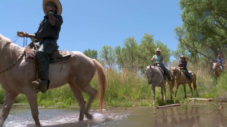 Group of horseback riders in cowboy hats crossing a shallow creek on a sunny riverside trail ride through green grass and trees.