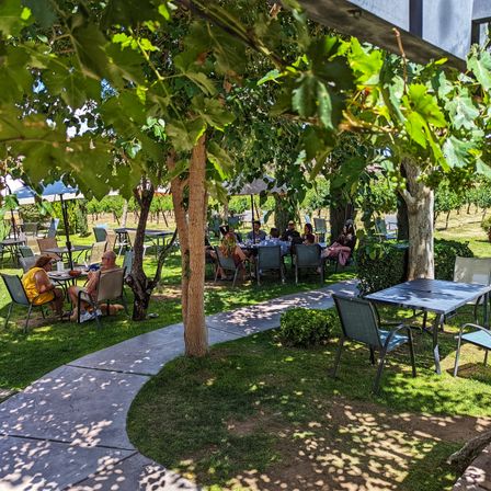 Shaded vineyard garden patio with outdoor tables and chairs, groups dining under trees and umbrellas, a winding stone path and sun-dappled green lawn.
