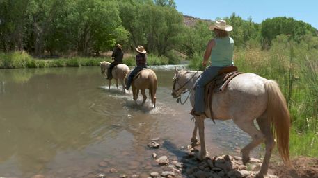 Three horseback riders in cowboy hats wade their horses across a shallow river on a sunny summer day, passing trees and grassy riverbanks on a nature trail.
