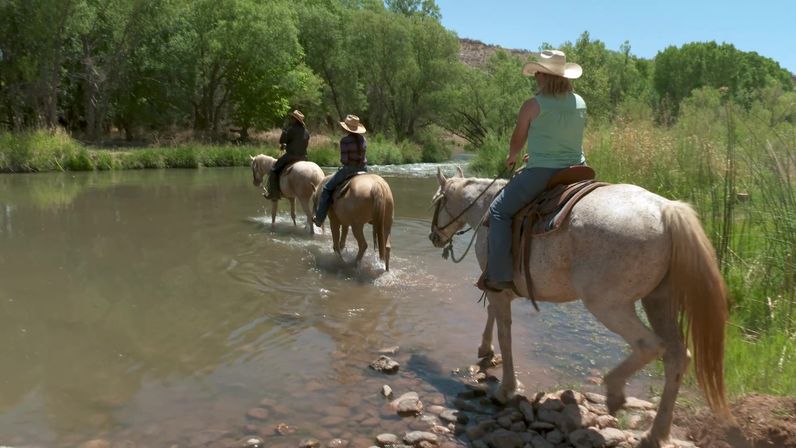 Three horseback riders in cowboy hats wade their horses across a shallow river on a sunny summer day, passing trees and grassy riverbanks on a nature trail.