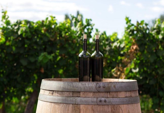 Two corked dark wine bottles sitting on an oak barrel with sunlit green vineyard rows blurred in the background