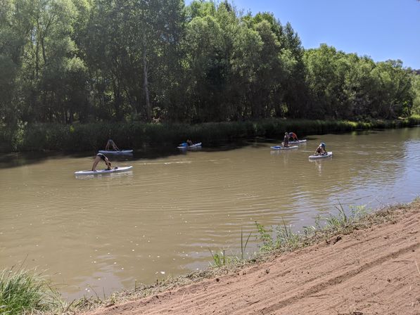 Group paddleboarders doing yoga stretches on a calm brown river, framed by leafy green trees and a sandy grassy riverbank on a sunny summer day.