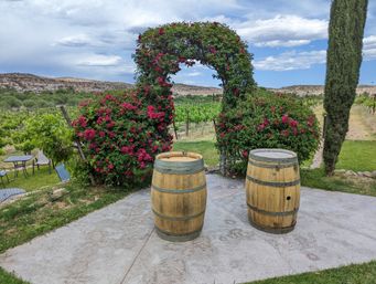 Inviting rustic vineyard scene: two wooden wine barrels on a stone patio beside a vibrant rose-covered arbor, overlooking vine rows and rocky hills under a blue sky.