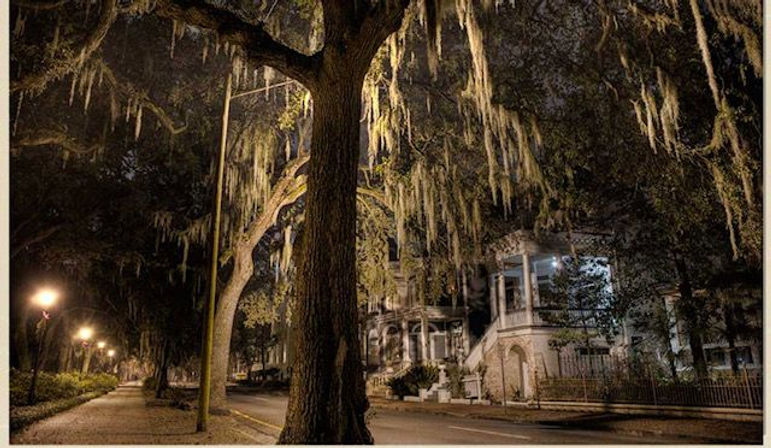 Moody nighttime scene of a historic, tree-lined street with live oaks draped in Spanish moss, glowing lampposts and Victorian-style porches