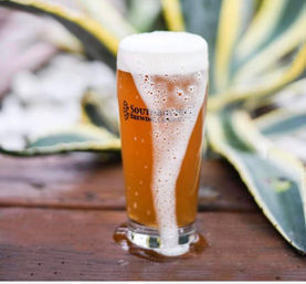 Foamy amber craft beer overflowing a tall pint glass, foam cascading down the side onto a wooden outdoor table with blurred variegated agave leaves in the background.
