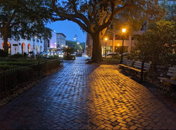 Twilight downtown brick walkway with a large oak tree and wooden benches, warm streetlights casting golden reflections on wet herringbone bricks and lit storefronts in the background.