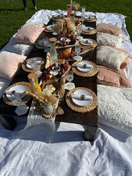 Boho-chic sunlit lawn picnic with a low dark wood table on a white blanket, surrounded by pink and cream cushions, woven placemats, crystal glasses, croissants, charcuterie and fruit boards, juice carafes and dried floral centerpieces.